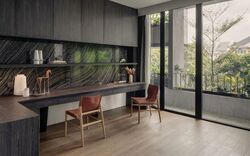 Hougang Avenue 3 (D19), Semi-Detached #497102161